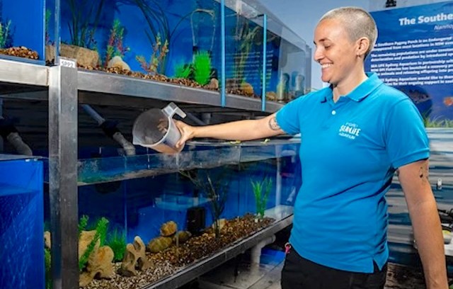 "They play a vital role in freshwater ecosystems."