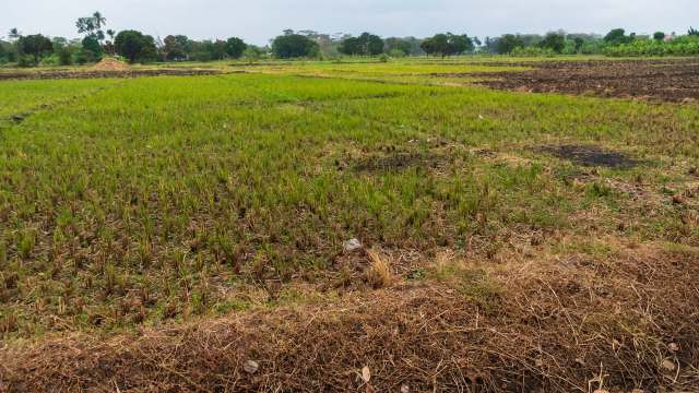 They’ve expressed concerns via reports to the government.