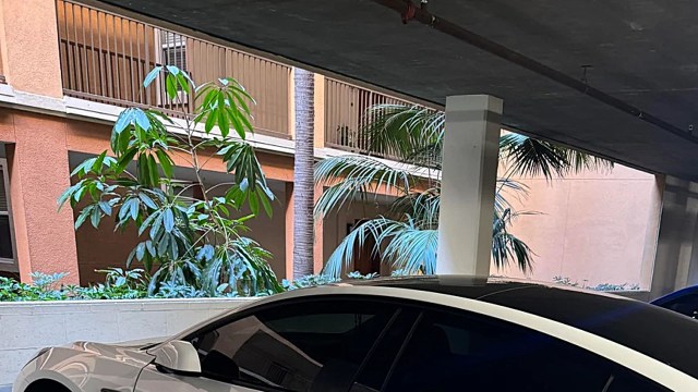 "It’s become common."