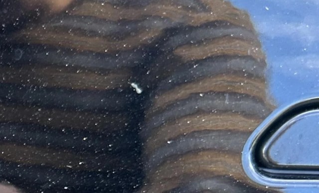 "Tell everyone it is the signature of a famous person."