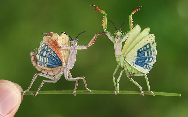 The small scale of their work symbolizes how fragile our natural world has become.