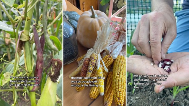 "THIS is the way I learn best."