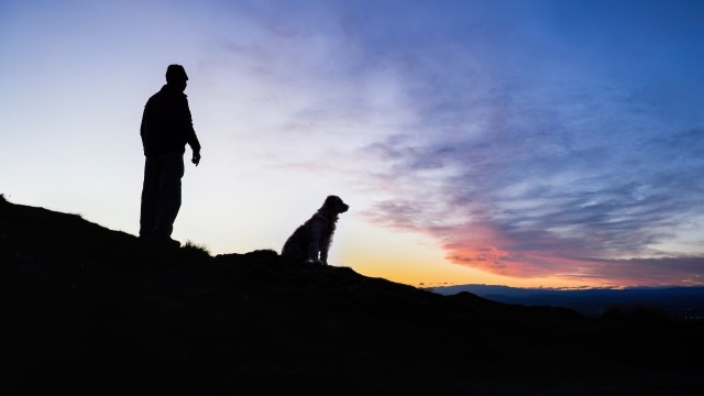 He is due in court this month.