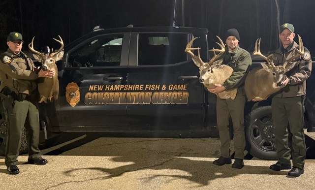 "We ... will not tolerate them."