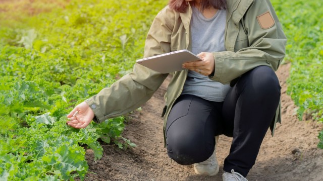 These staff reductions directly threaten American families through potential food price increases and reduced safety.