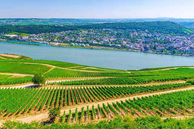 "We can encounter pesticides while taking a walk, in playgrounds or in our own gardens."