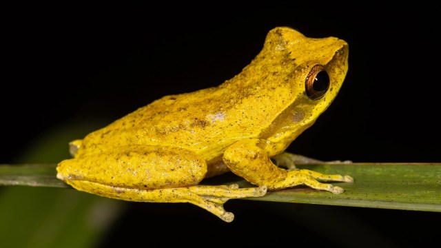 "One catastrophic event could wipe them out entirely."