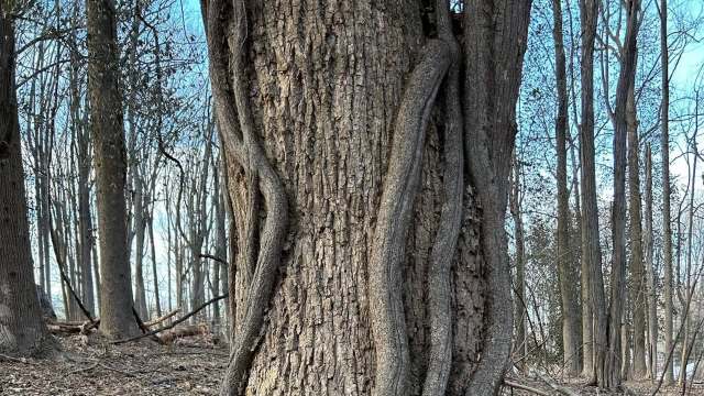 "It did not disappoint!"