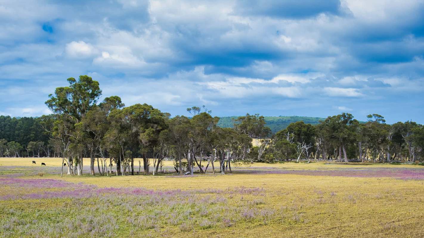 "If successful, this method may enable a year-round survey window."