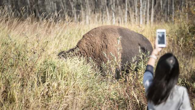 "The sad part is the animal always pays for the sins of the people encroaching."