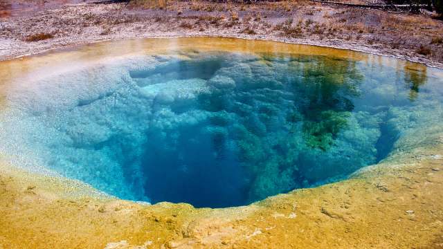 "Another person with no respect."