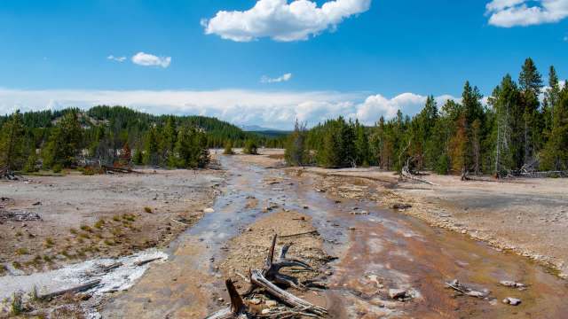 "Please use your head."