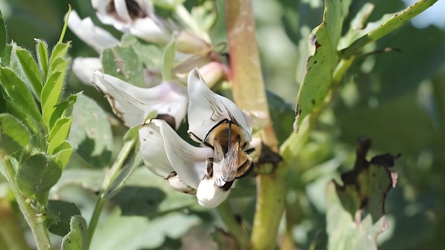 "We intend to explore all these elements."