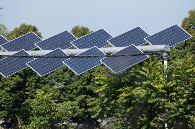 "Agrivoltaic systems can mitigate agricultural yield losses."