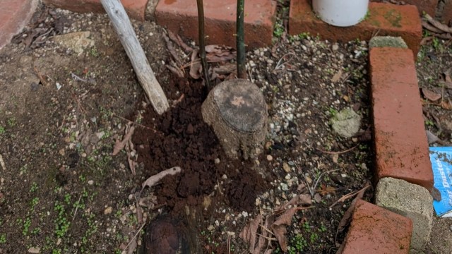 Others encouraged the homeowner to take legal action.