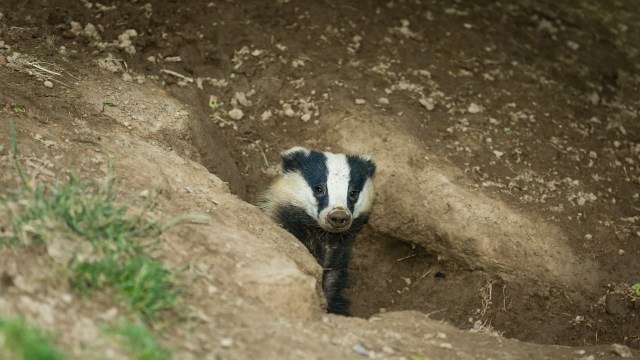 "Our cameras are everywhere."