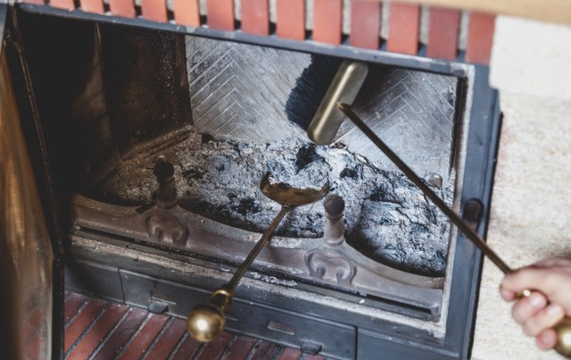 The bird seemed quite cooperative, considering the circumstances.