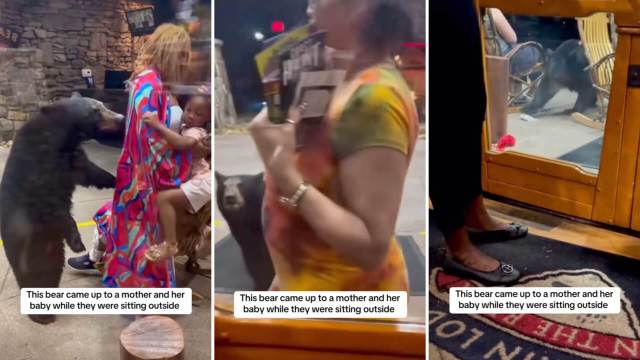 "Cub is only hungry. They all did good."