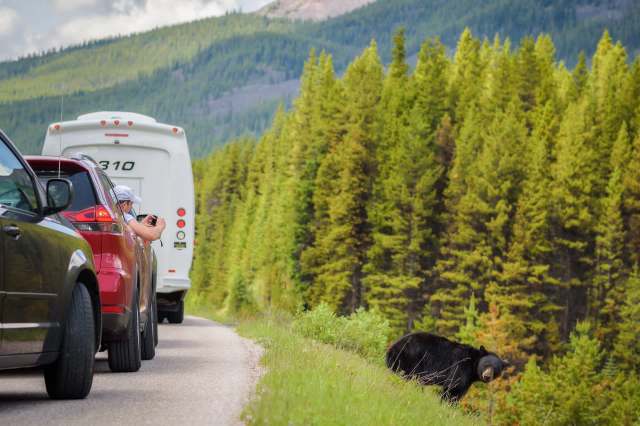 "Park boundaries, railings, and signage exist for a reason."