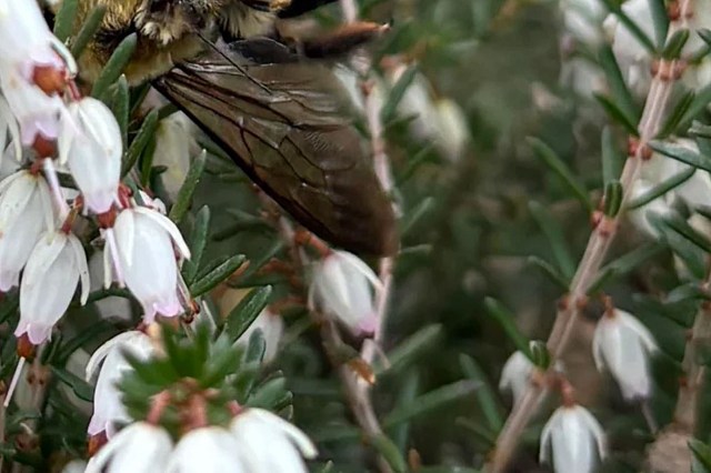 "This is a pretty wild pic!"