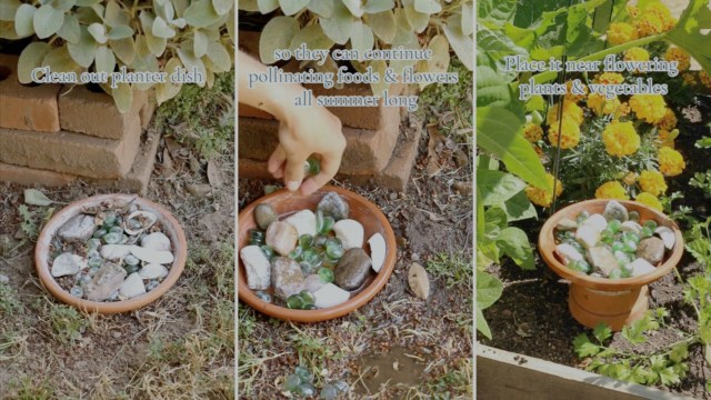 "Thanks for the tip!"