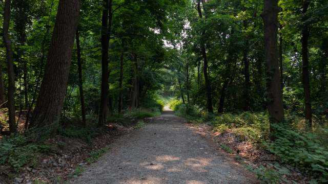 "This rare bobcat sighting isn't just a feel-good moment — it's a hopeful sign."