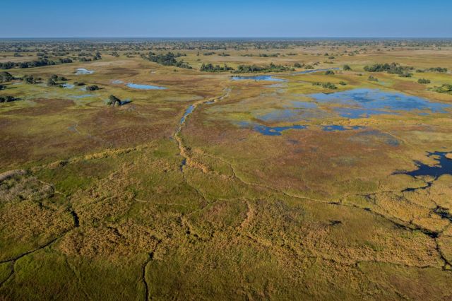 It took several organizations working together to help.