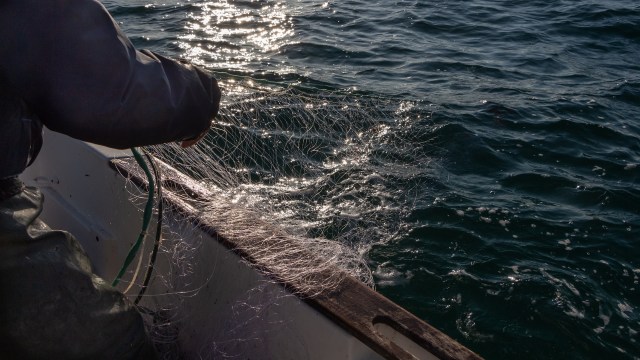 This highlights the harsh realities aquatic life continues to face.