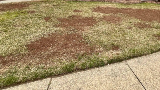 "My HOA is coming after me."