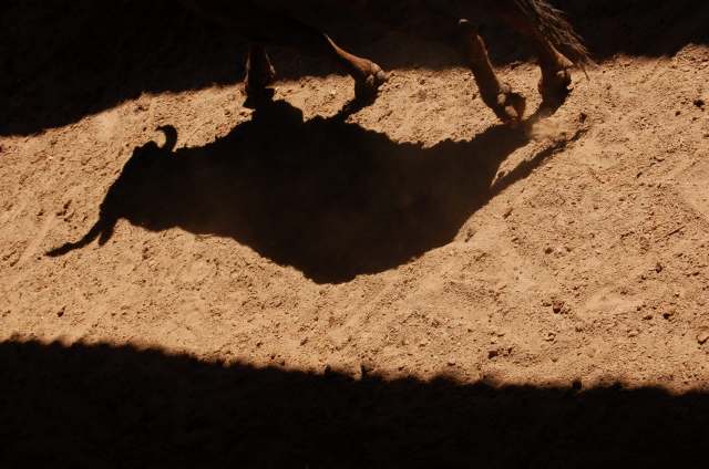 Historically, animals have been used by people in cruel and self-serving ways.