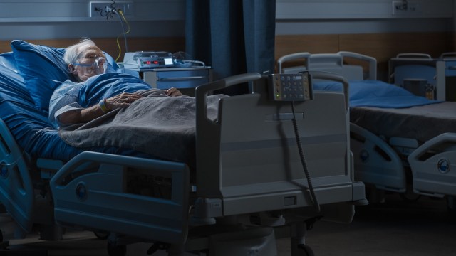 The birds play a vital role in rainforest ecosystems.