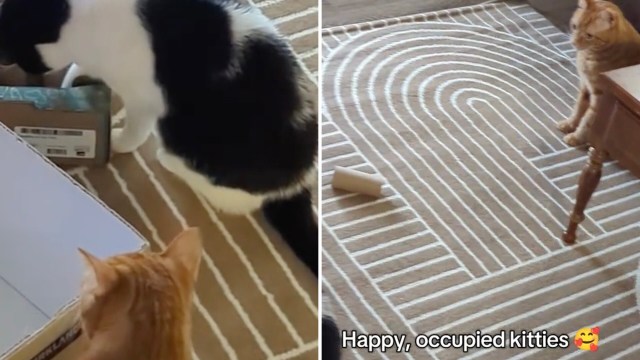 Commenters loved the simple idea.