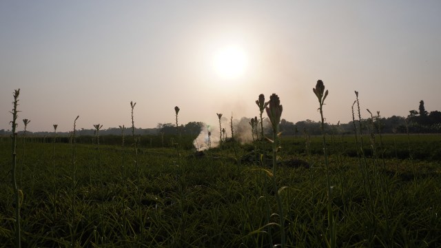 "Catastrophic for our business."