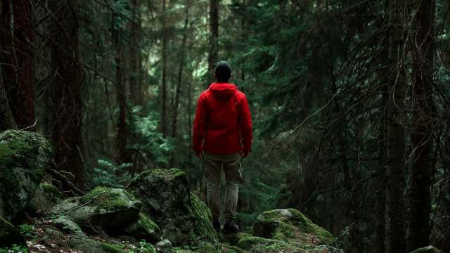 This incident serves as a reminder to respect wildlife boundaries.