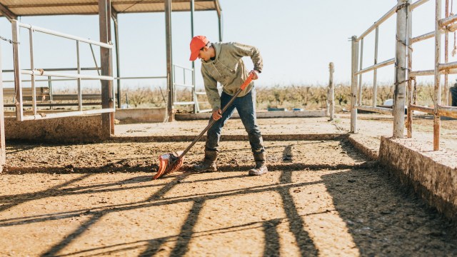 The plant creates 18,500 gallons of hydrogen and fills about 28 vehicles daily.