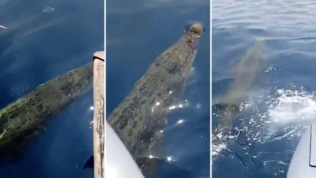 "New fear unlocked."