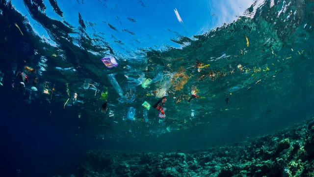 Researchers are continuously studying the movements of microplastics in the deep sea.
