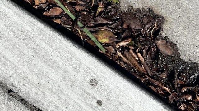 "It has become the norm."