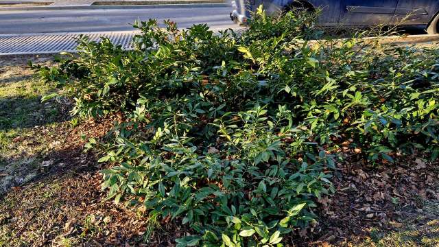 "I look forward to an end to these."