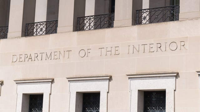 These projects can hinder the quest for a greener future.