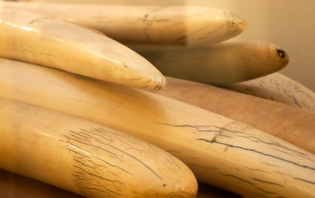 "We have initiated legal proceedings against them."