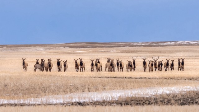 "Further research is needed."