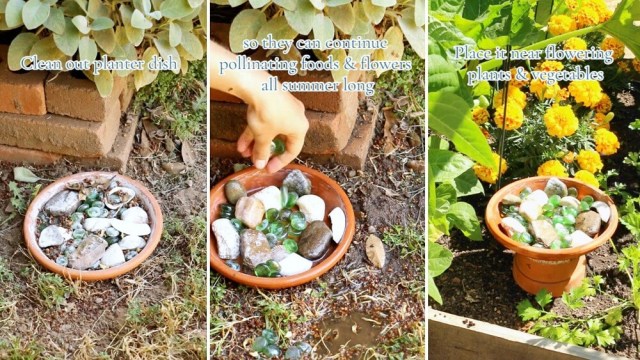 "Thanks for the tip!"