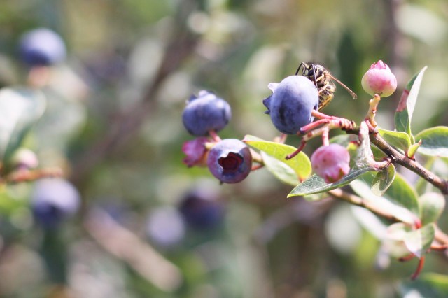 Since this study was published only a few months ago, no policies have been formed based on its findings.