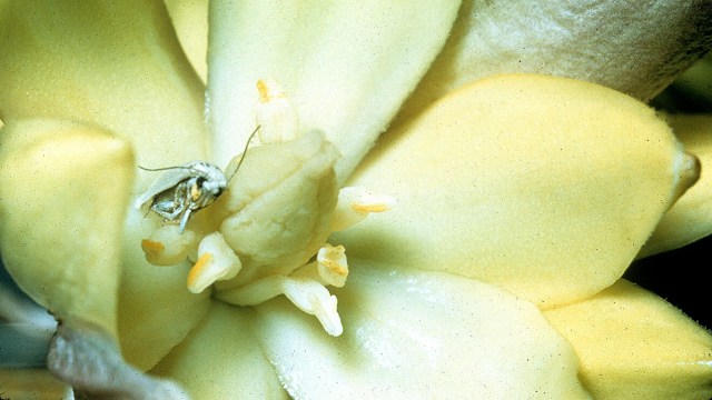 It’s crucial to better understand these nuanced but significant effects.