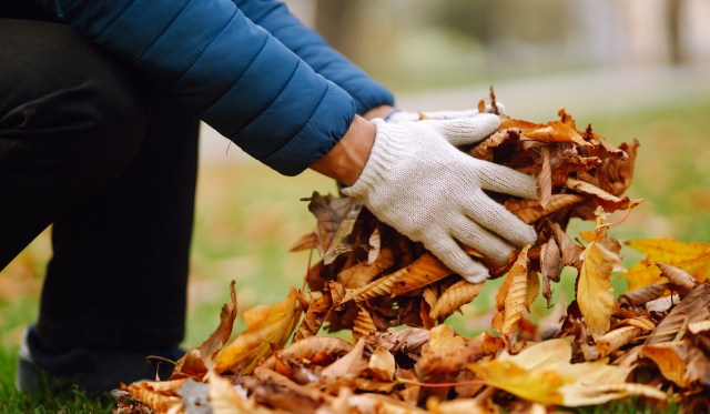 "This isn’t my problem."