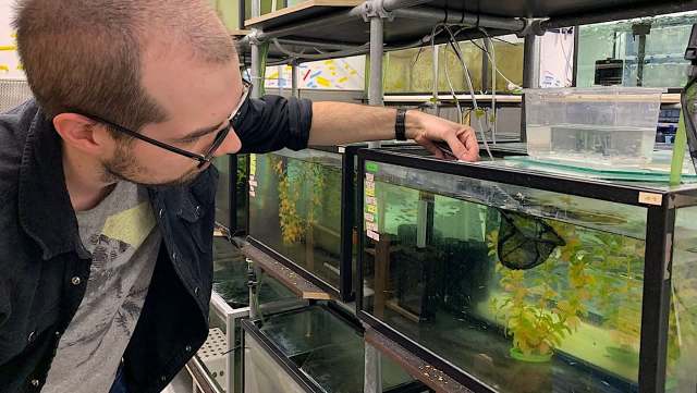 "Our hypothesis was that a fish accustomed to 20 degrees Celsius water could tolerate a maximum of, say, 35 C."