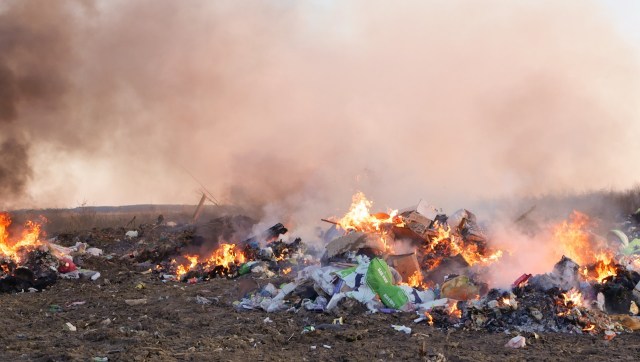 "We will always investigate environmental crimes."