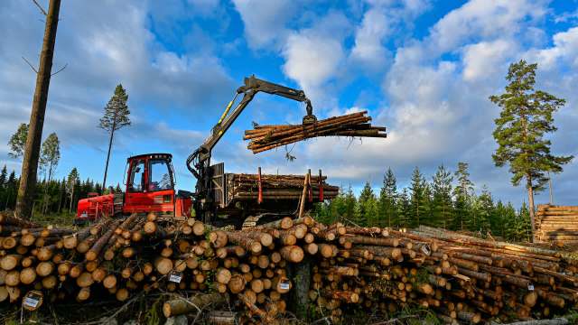 The WWF is urging Sweden and Finland to take this report seriously.