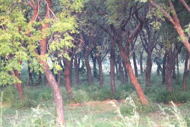 "[It] defeats the purpose."